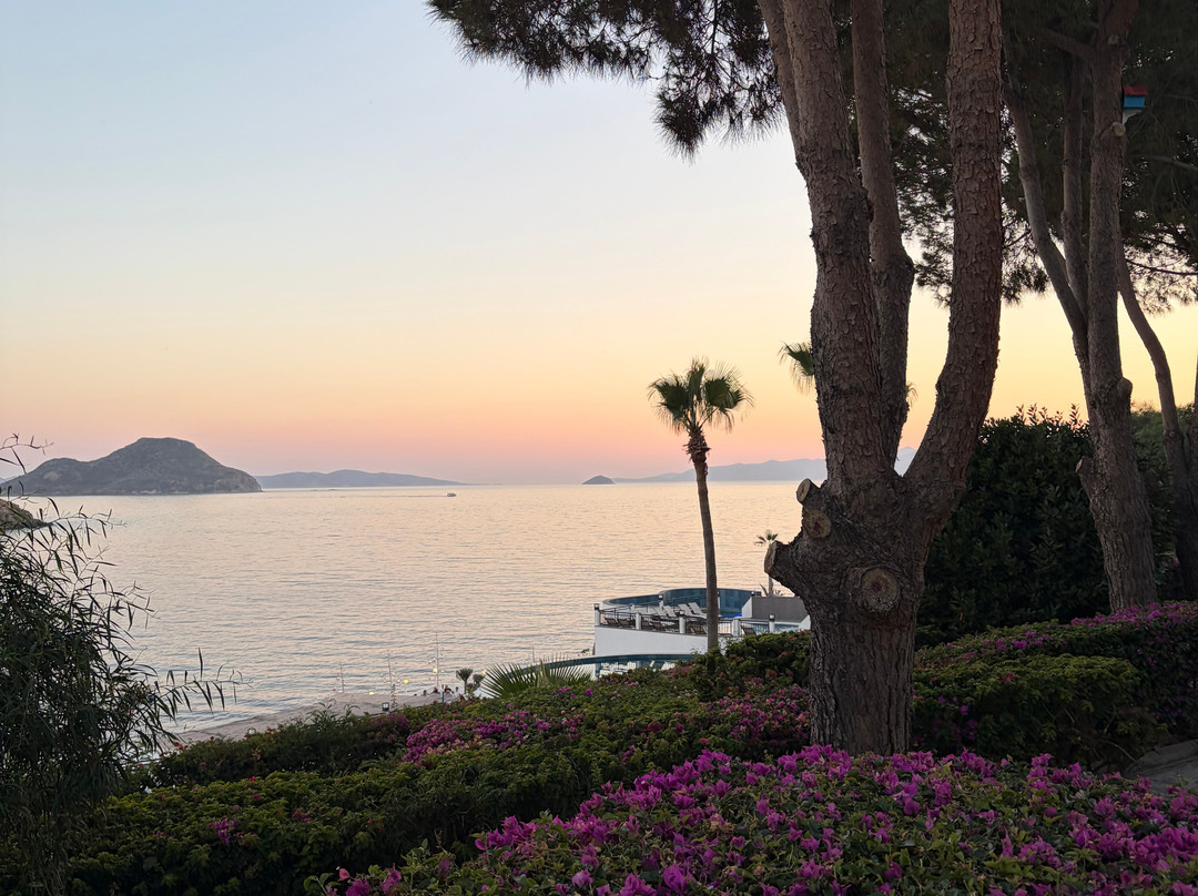 卡迪卡勒度假村 - 全包式主图