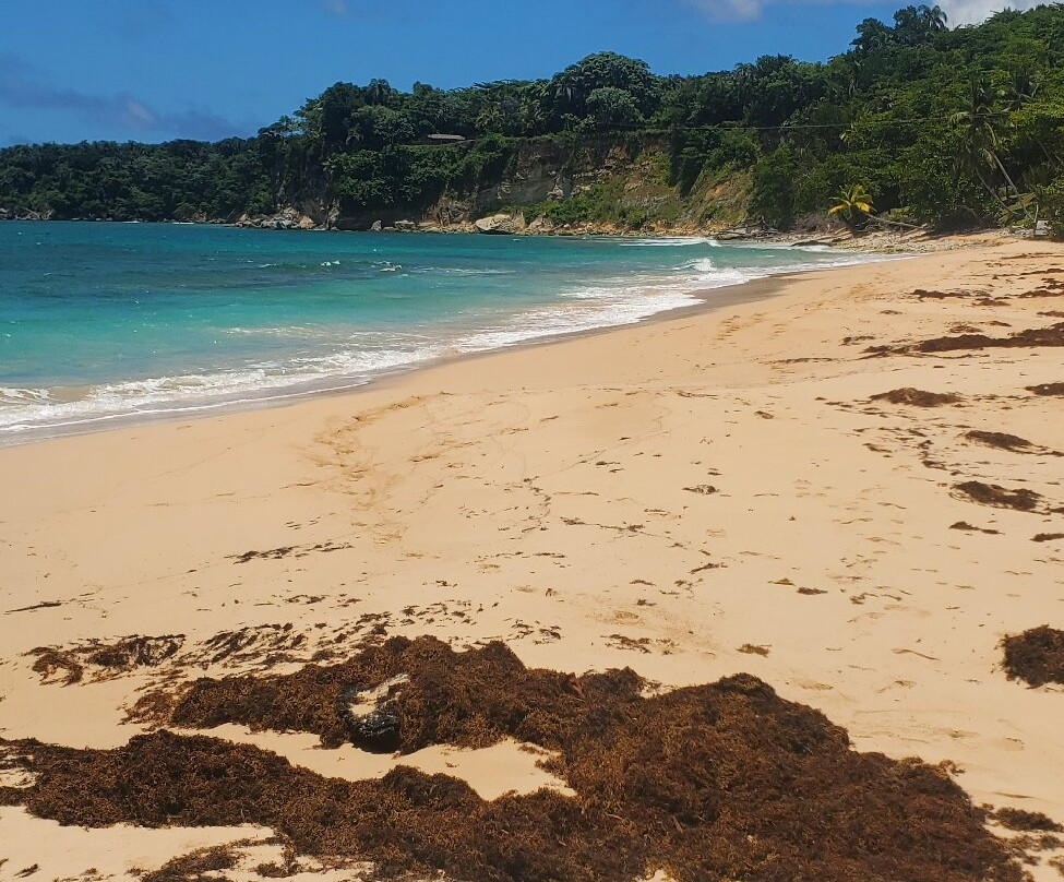 Playa Grande-Cabrera必去景点