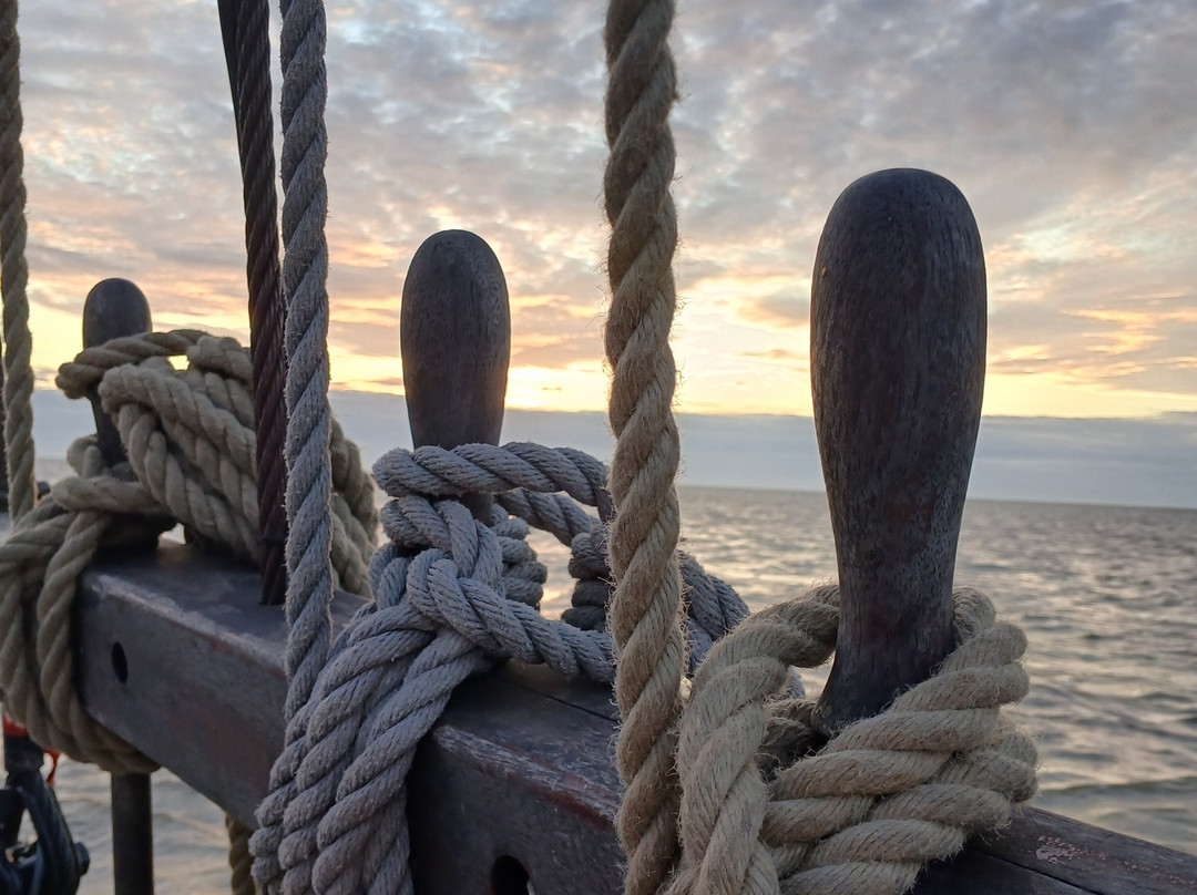 Historische Zeilvaart Harlingen-哈灵根必去景点