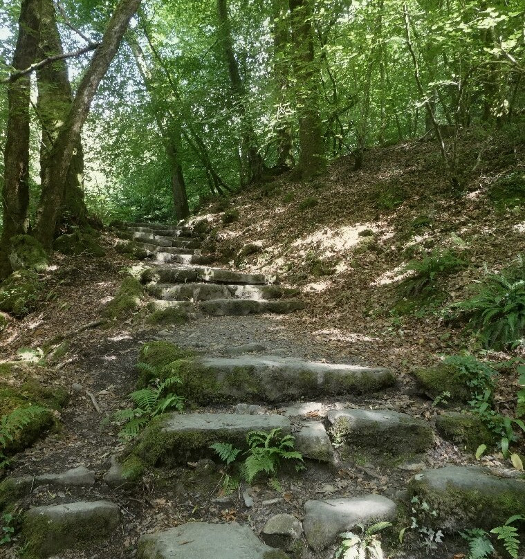 Torrent Walk-Dolgellau必去景点