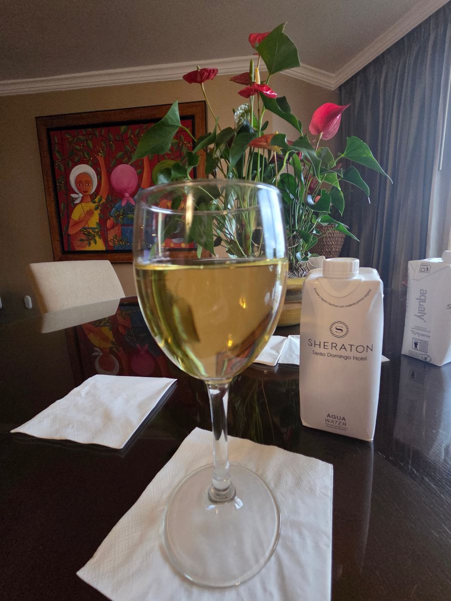 圣多明戈喜来登酒店-旅行者
