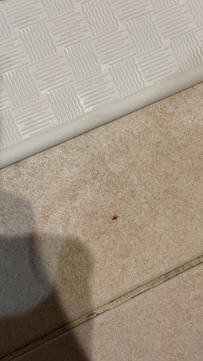 温彻斯特南部的马威尔酒店-旅行者