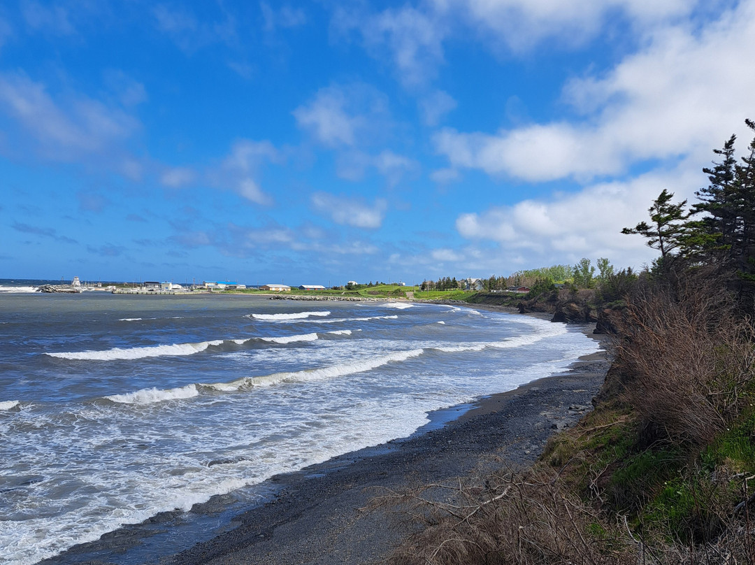 Arisaig Provincial Park-安蒂岗尼希必去景点
