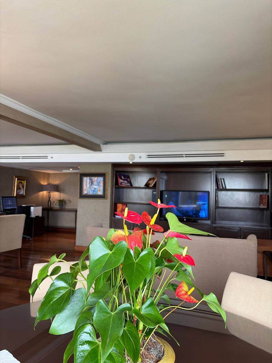 圣多明戈喜来登酒店-旅行者