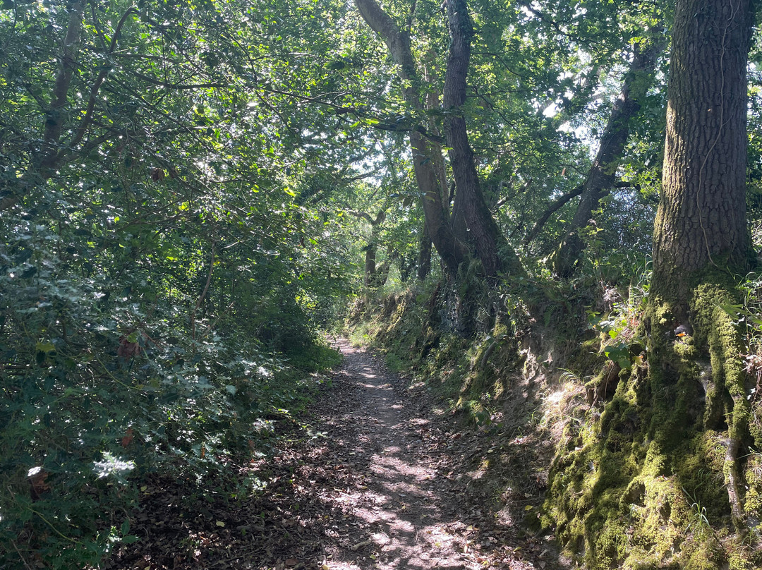 Welsh Wildlife Centre-Cardigan必去景点