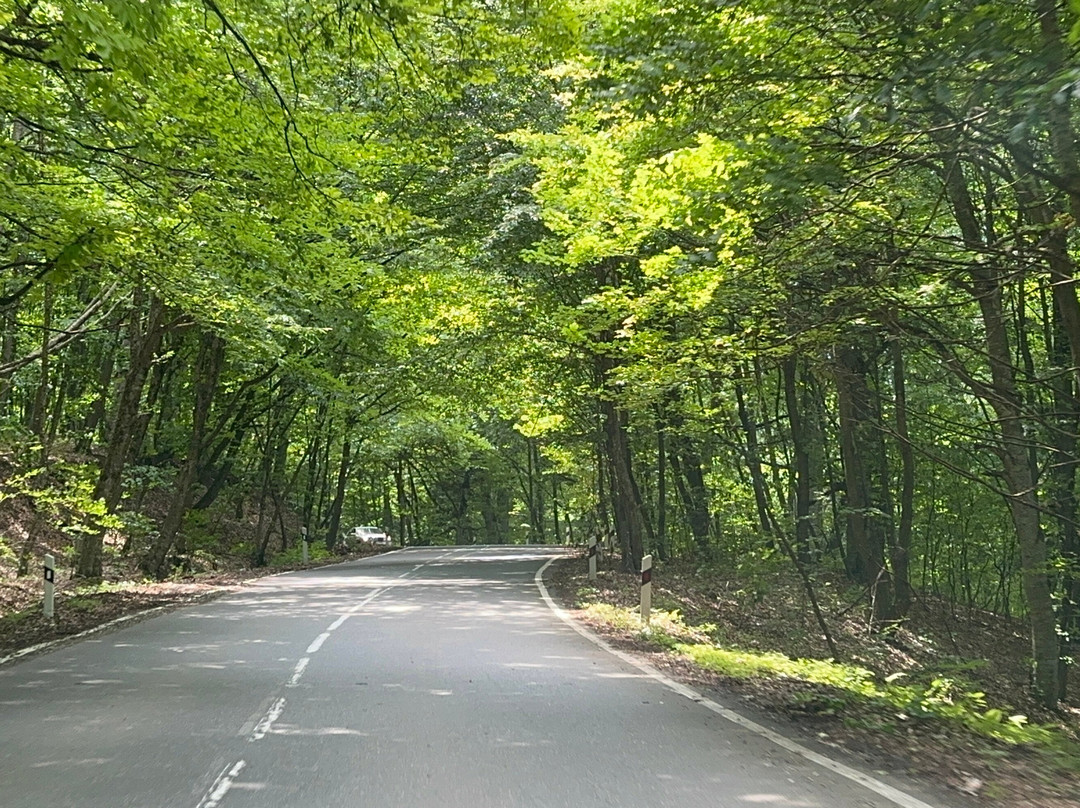 Dilijan National Park-Dilijan必去景点