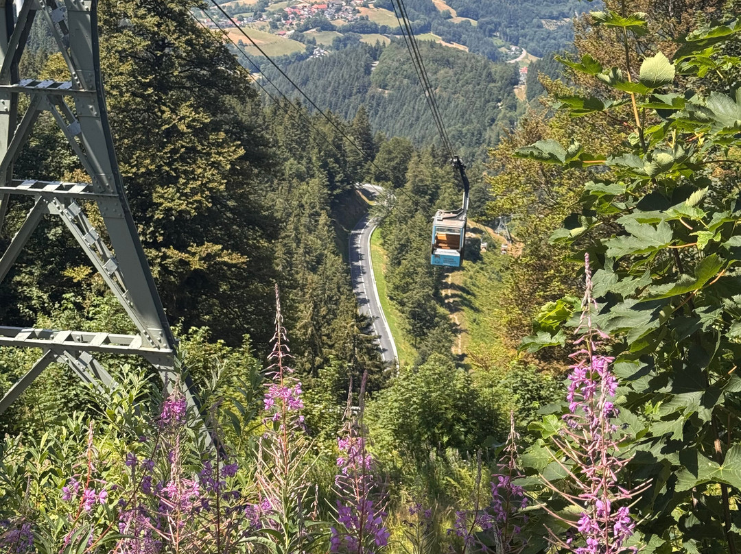 Schauinslandbahn-Horben必去景点