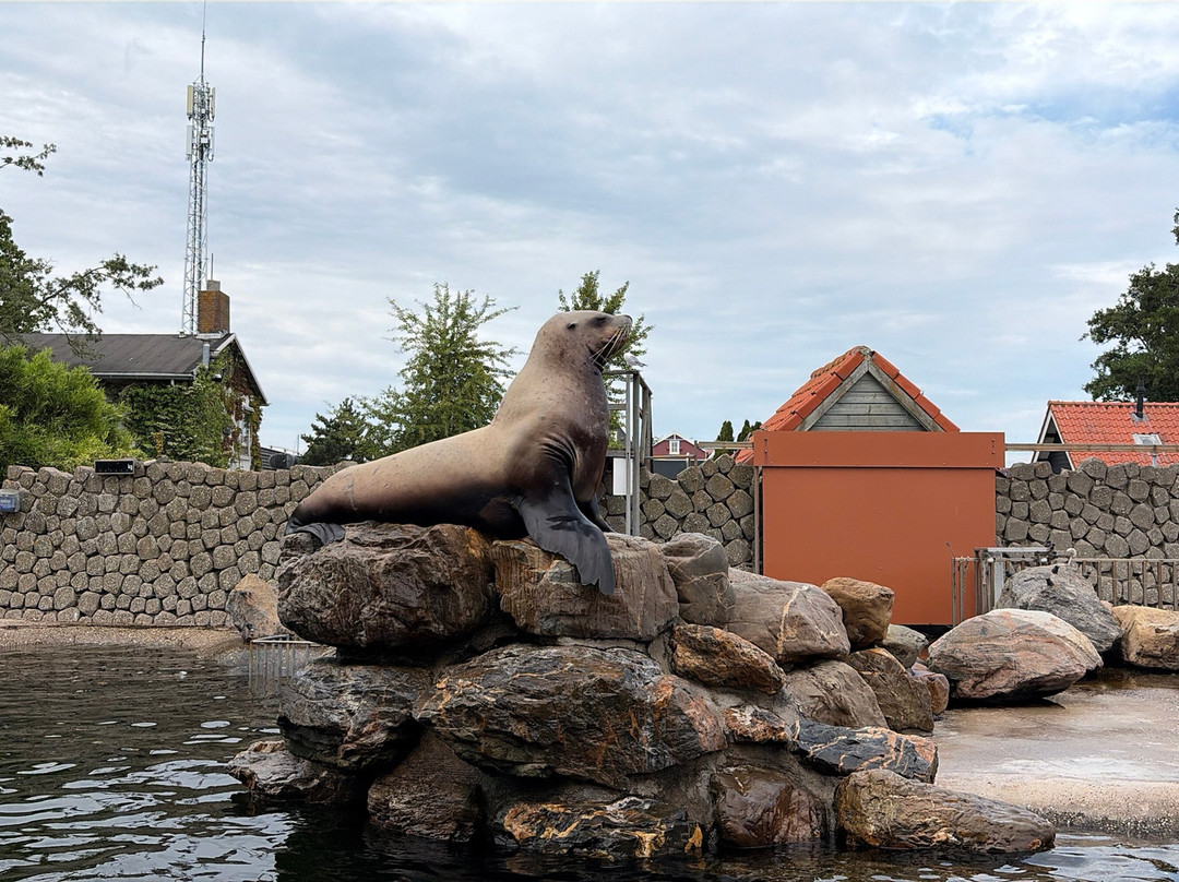 Dolfinarium-Harderwijk必去景点