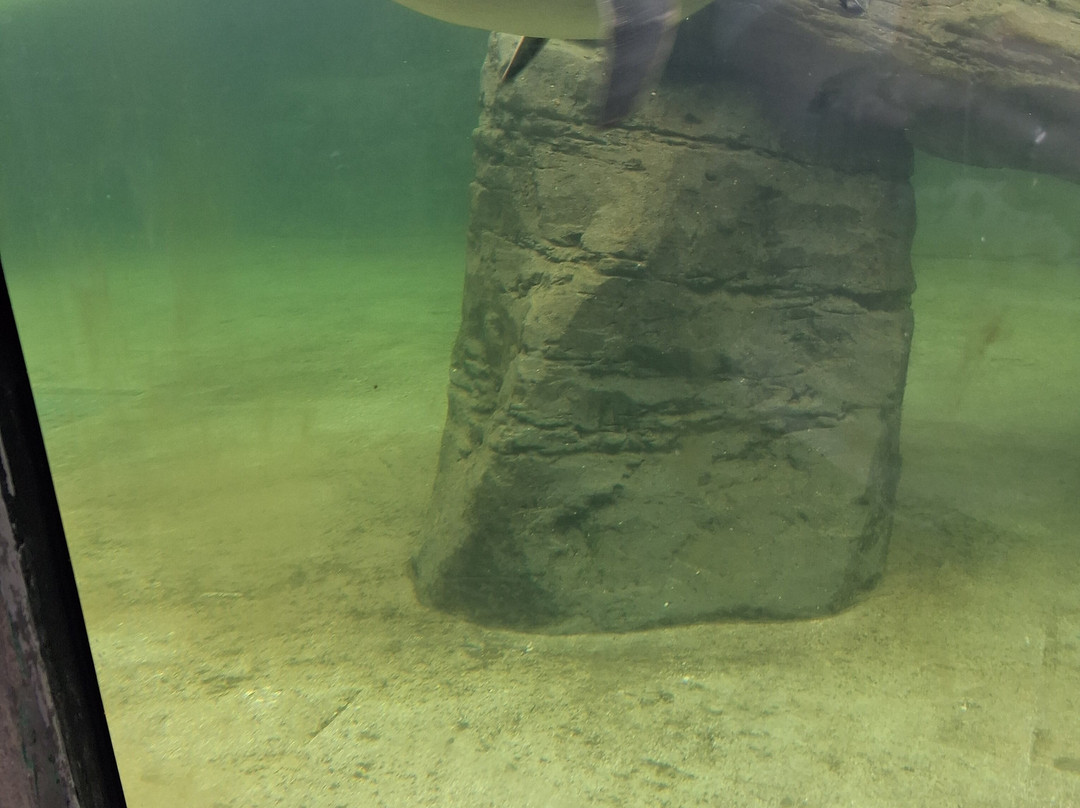 Sea Life Scarborough-斯卡伯勒必去景点