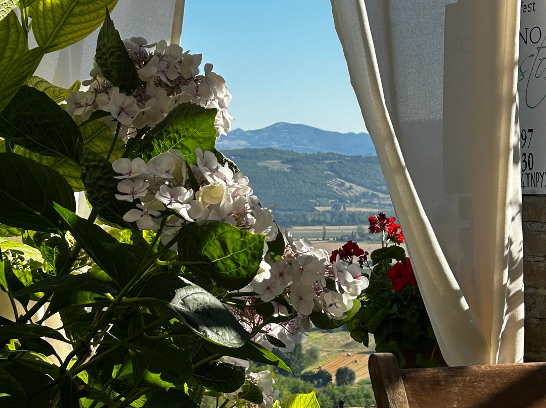 B&B Il Giardino Nascosto主图
