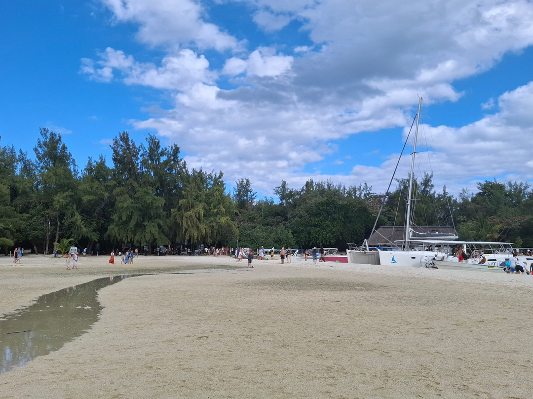 Sud Sauvage Adventure-Surinam必去景点