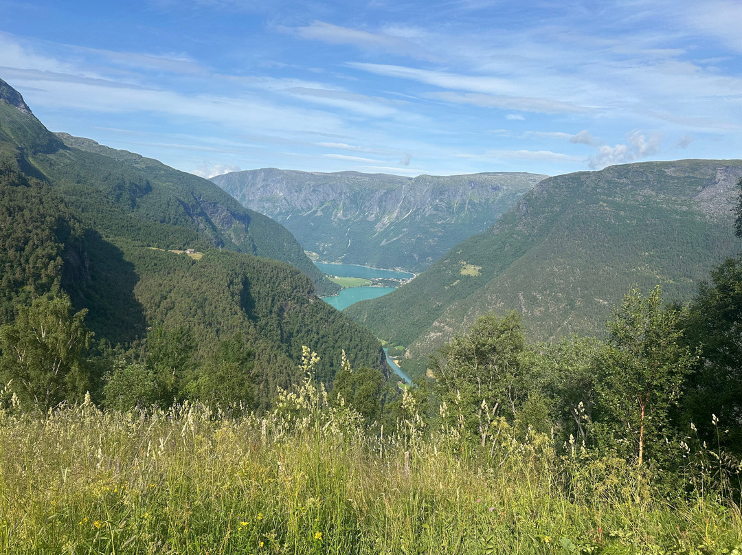 Fuglesteg-Skjolden必去景点