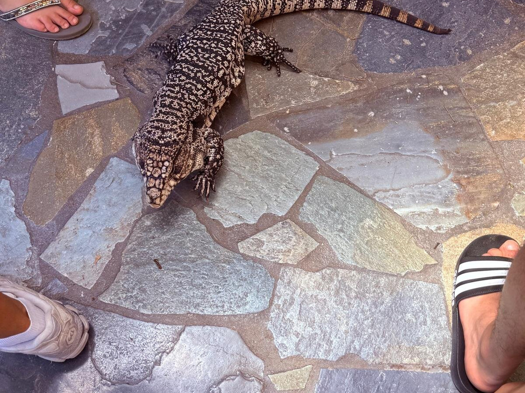 Aquaworld Aquarium & Reptile Rescue Centre-赫索尼索斯必去景点