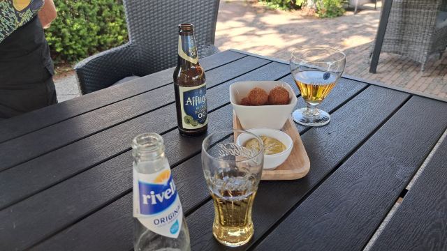 路尼亚酒店-旅行者