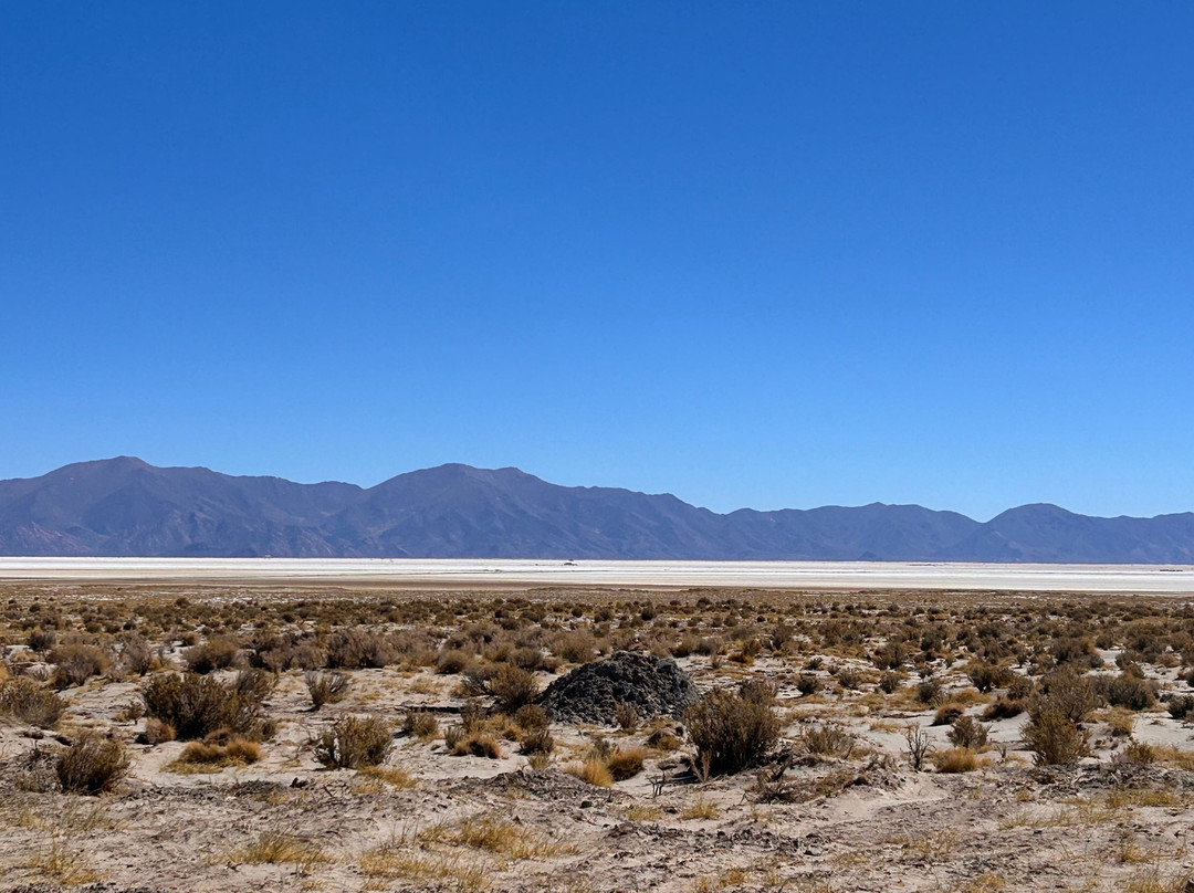 Salinas Grandes-胡胡伊省必去景点