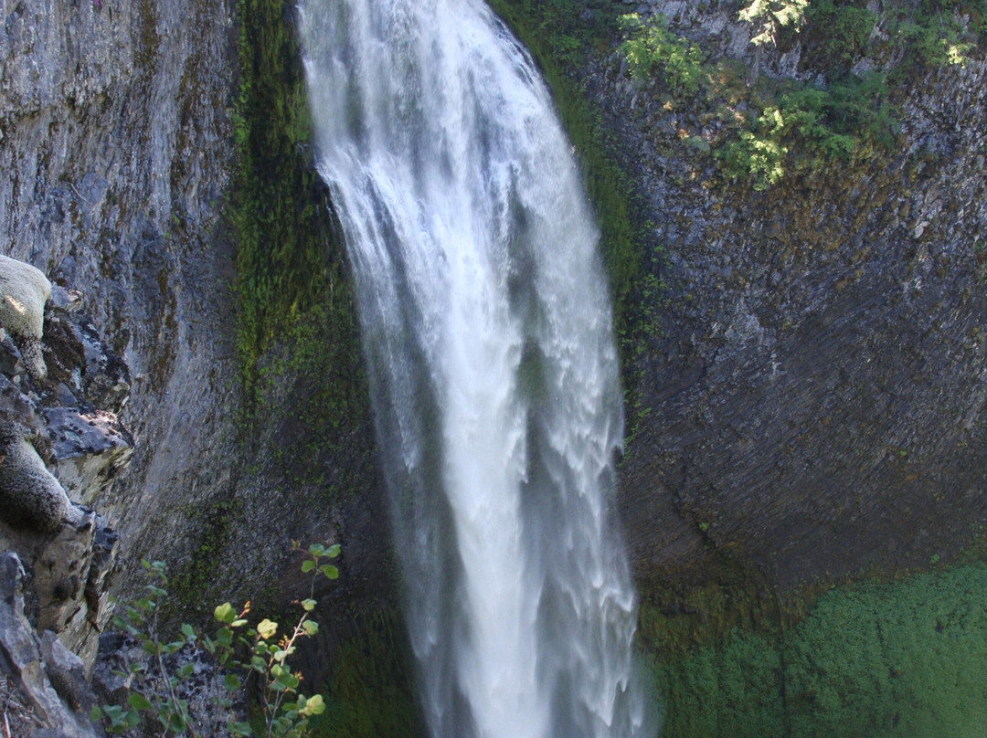 Salt Creek Falls-Oakridge必去景点