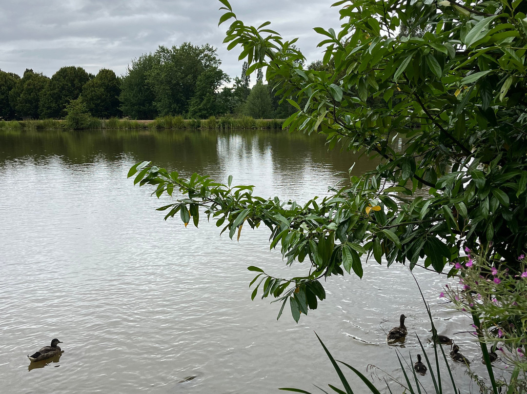 Bodenham Arboretum-Wolverley必去景点