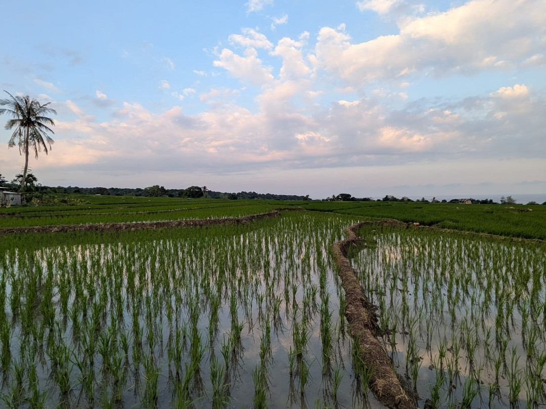Flores Pristine Tour-Labuan Bajo必去景点