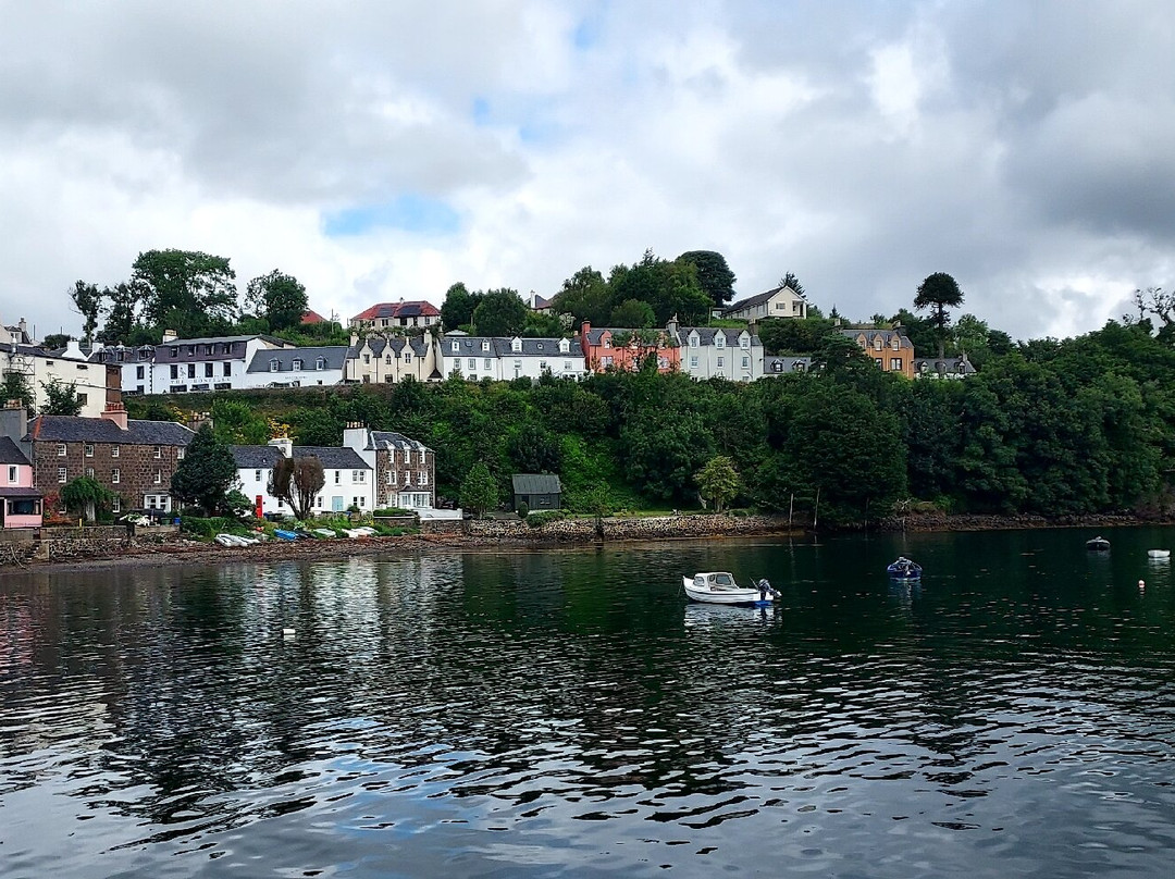 Stardust Boat Trips Portree-Portree必去景点