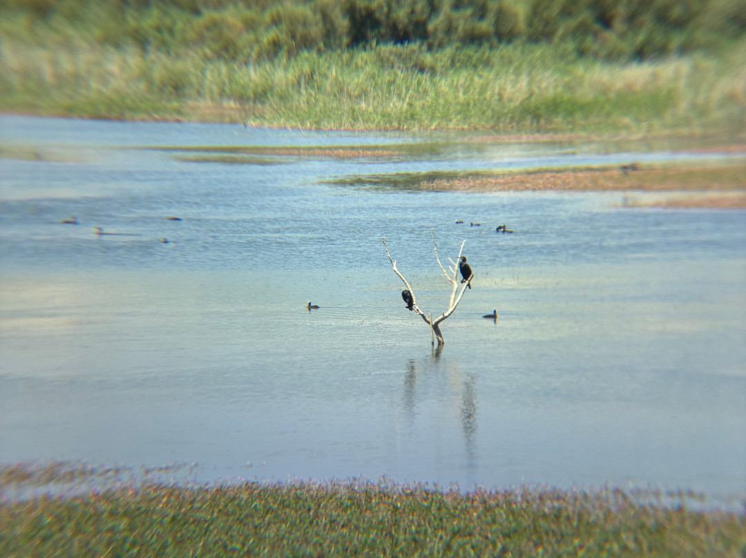 Nallıhan Bird Sanctuary-Nallihan必去景点