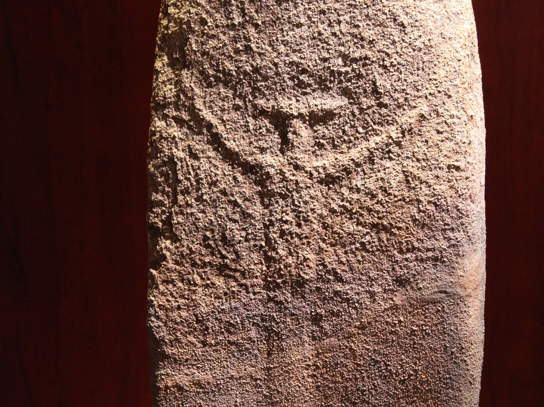Musee Prehistorique-Sartene必去景点