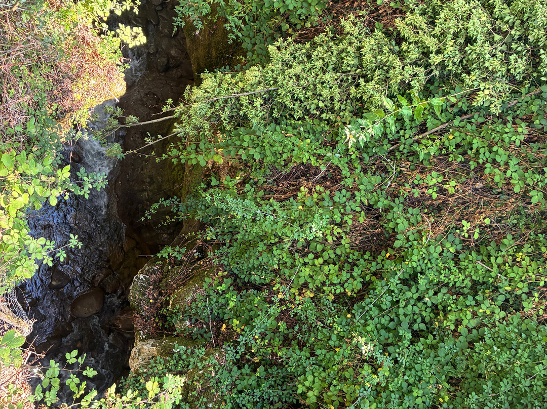 Gorges Du Sierroz-Gresy-sur-Aix必去景点