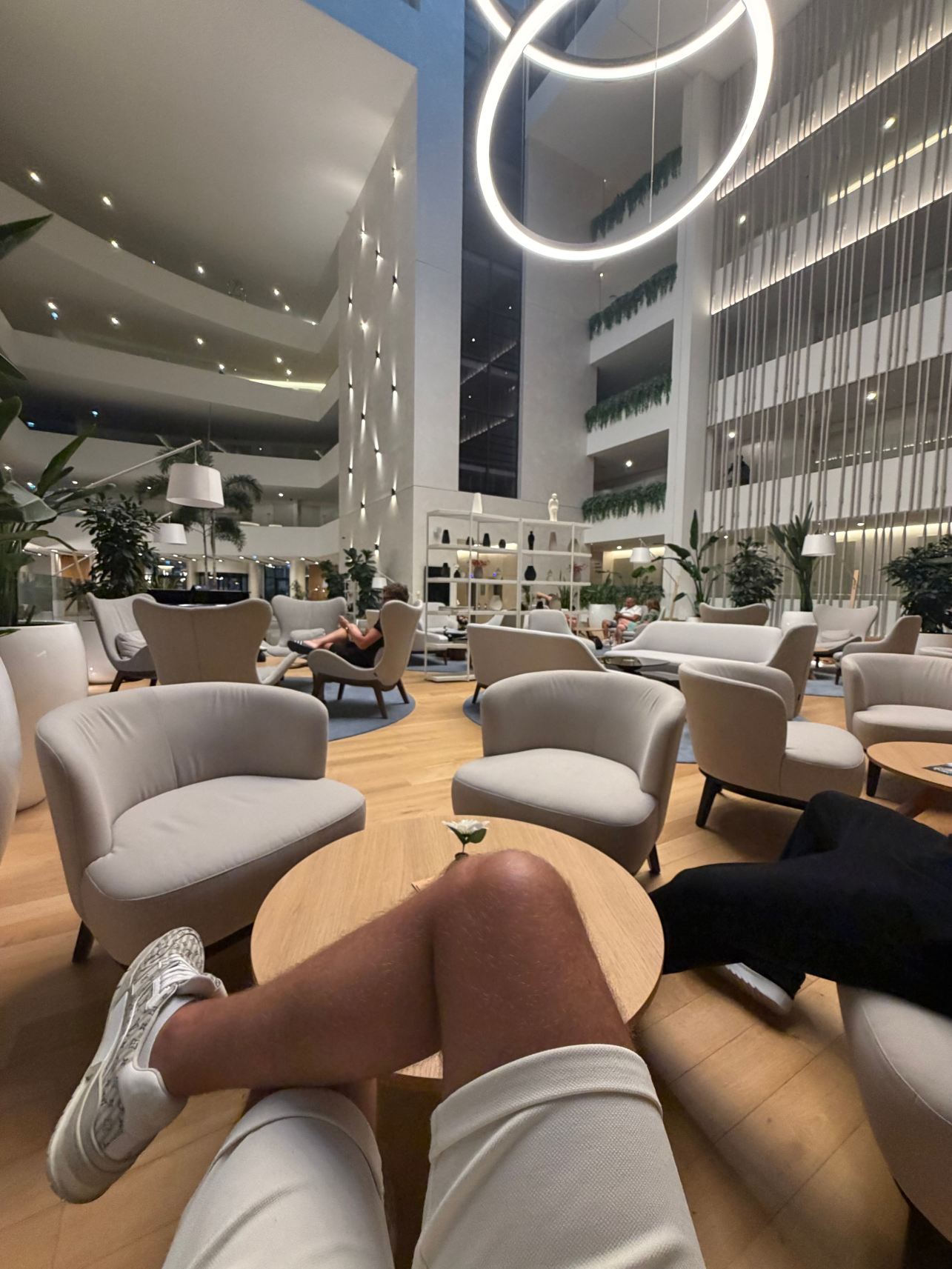 阿米内斯桂冠卡拉尼酒店-旅行者