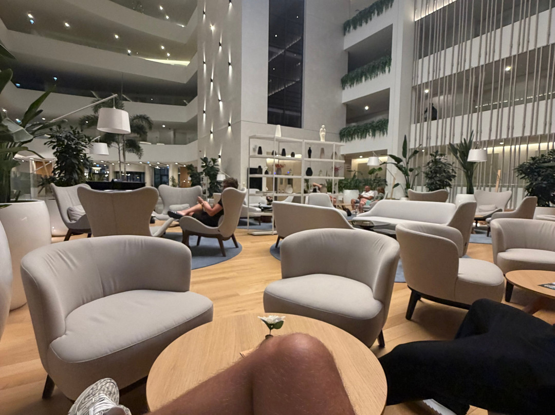 阿米内斯桂冠卡拉尼酒店主图