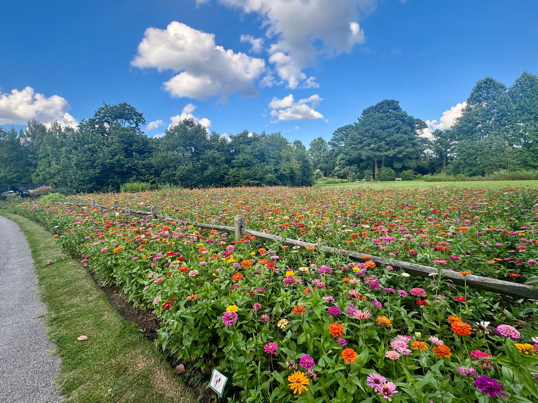 Norfolk Botanical Garden-诺福克必去景点