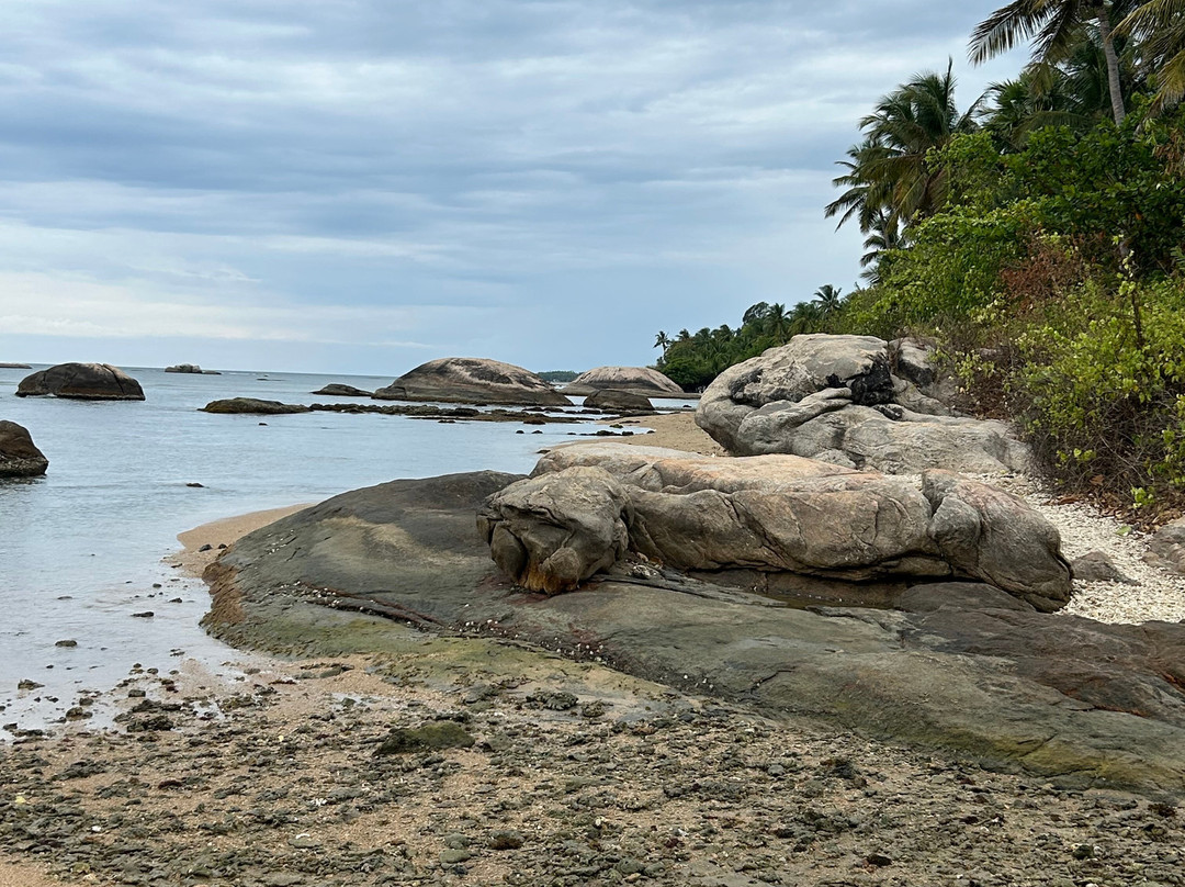 Fernando Tours Sri Lanka-Ja Ela必去景点