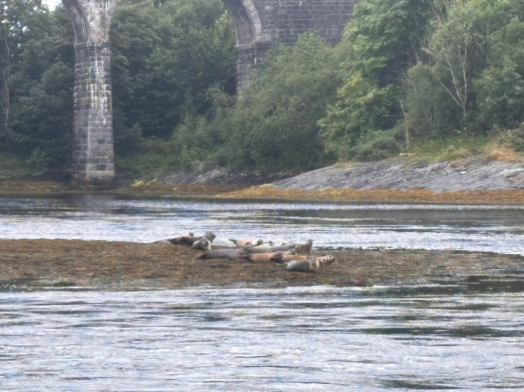 Etive Boat Trips-奥本必去景点
