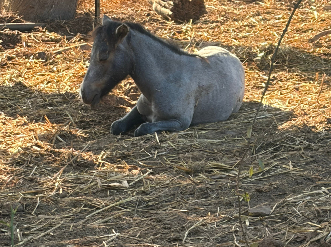 Aux Poneys d Eden-Canale-di-Verde必去景点