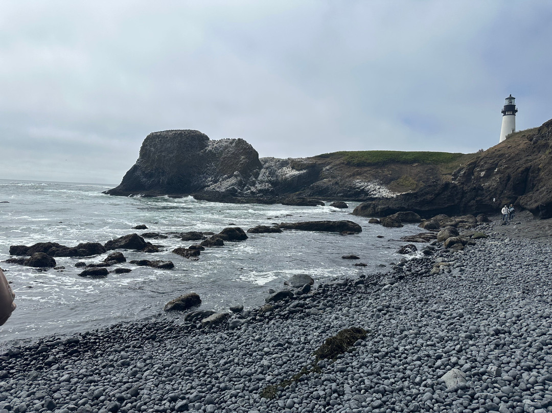 Yaquina Head Lighthouse-纽波特必去景点