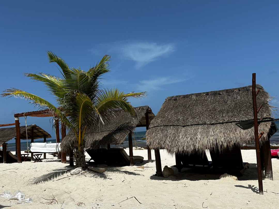 The Fives Beach Hotel & Residences主图