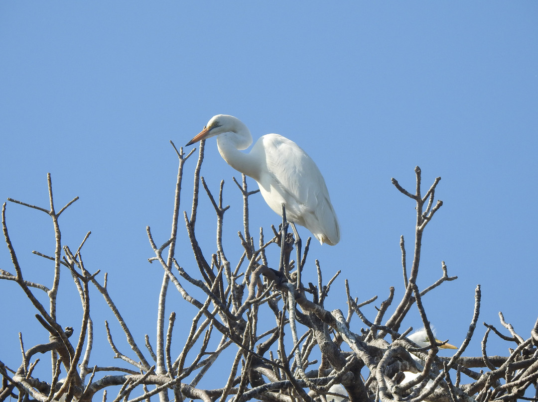 Zazamalala Wildlife Centre-Morondava必去景点