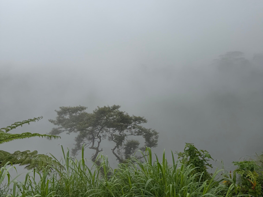 Papapapaitai Falls-阿皮亚必去景点