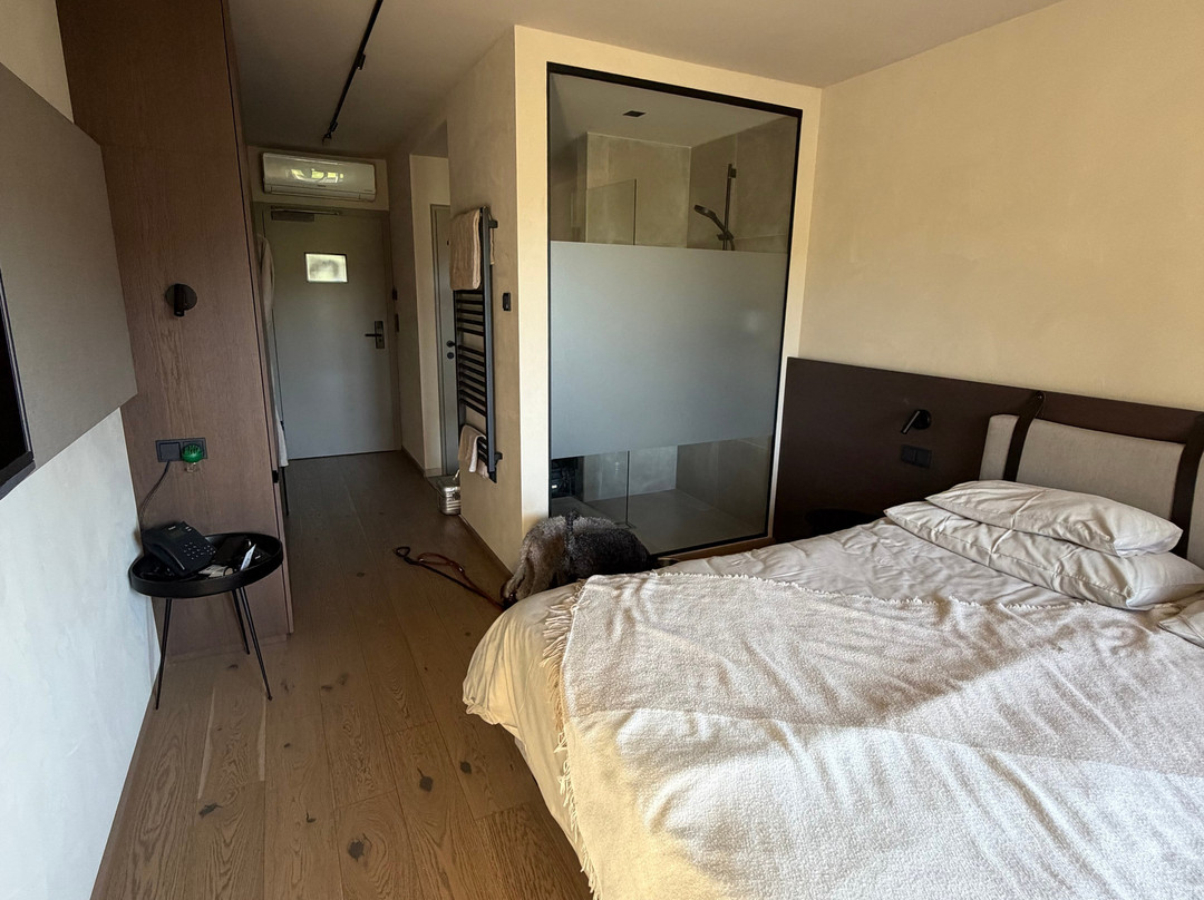 Boutiquehotel DAS ZEITWERT精品酒店主图