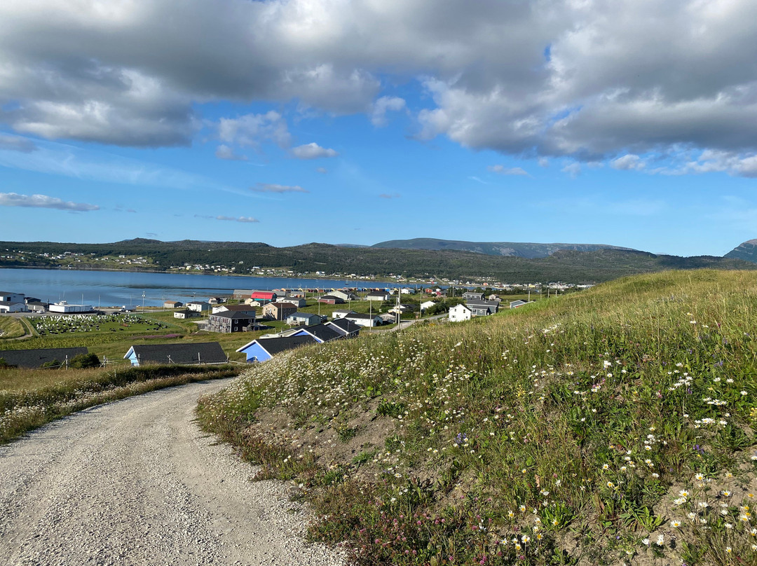 The Fish Sheds