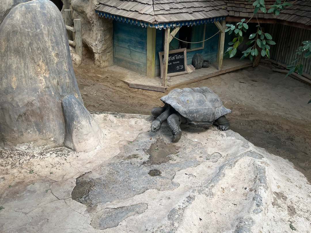 La Ferme Aux Crocodiles-Pierrelatte必去景点