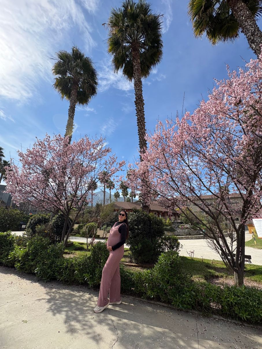 罗莎阿古斯蒂纳会议度假及spa酒店-旅行者