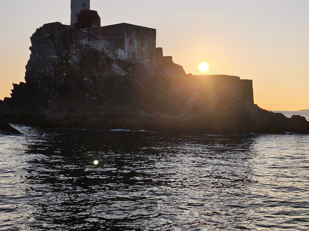 Cape Clear Island - Cape Clear Ferries-Baltimore必去景点