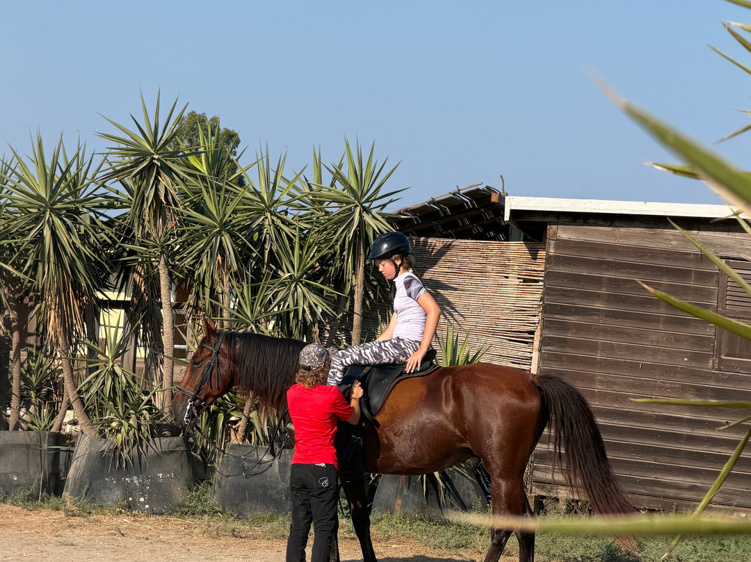Salt Lake Stables-Marmari必去景点