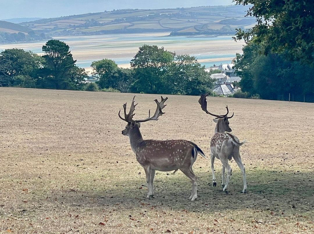 Prideaux Place-帕兹托必去景点