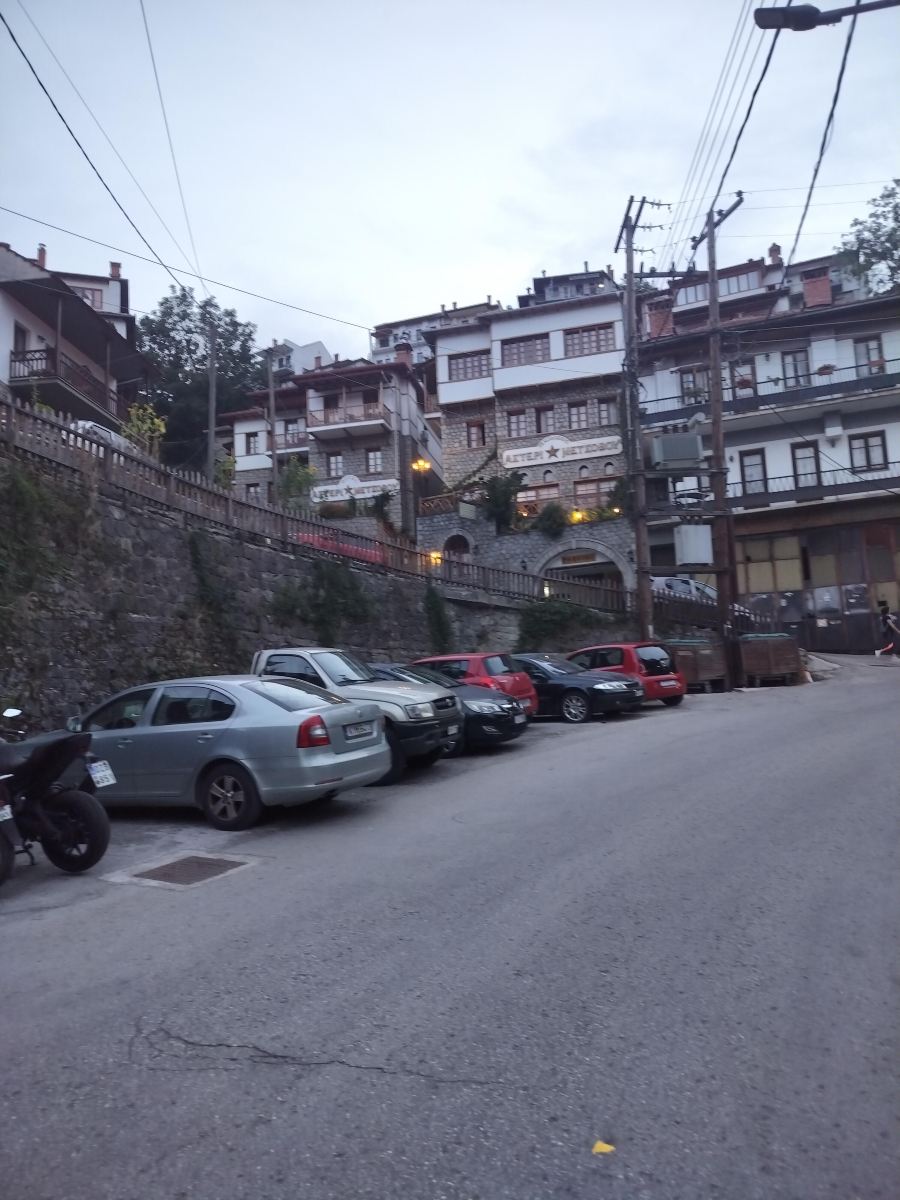 Asteri Metsovo Hotel S.A.-旅行者