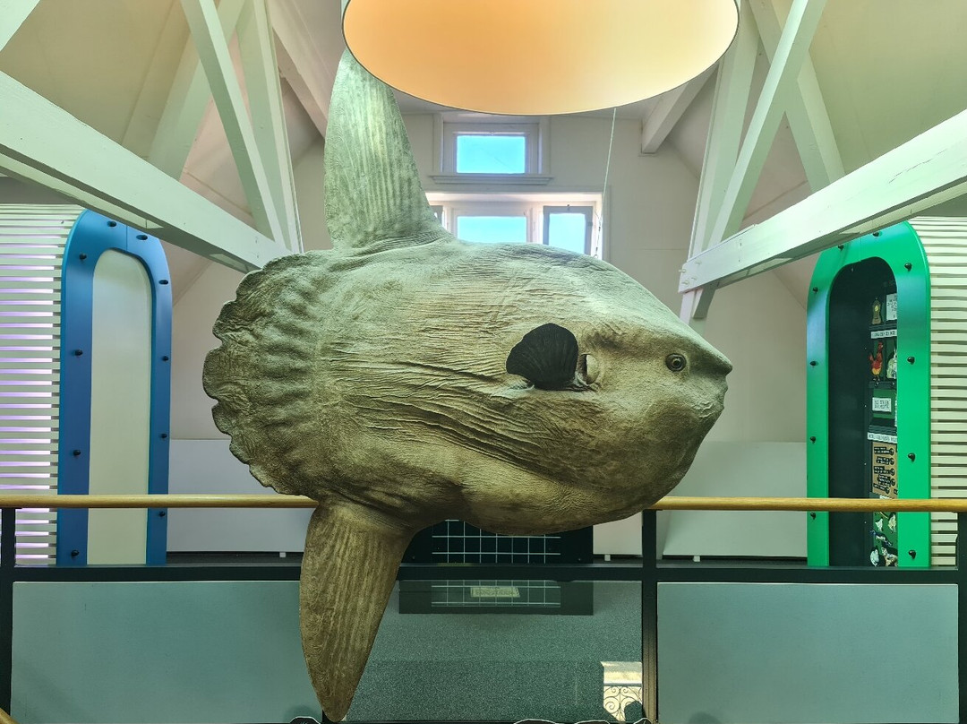 Natuurmuseum Fryslan-吕伐登必去景点