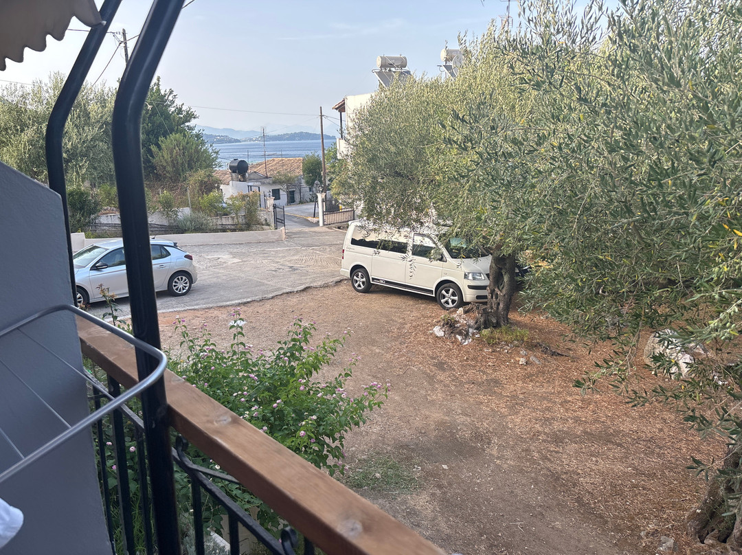 Olive Grove Poolside Apartments主图