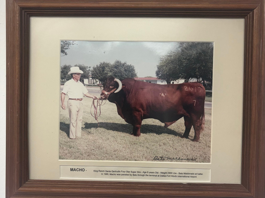 King Ranch Visitor Center-Kingsville必去景点