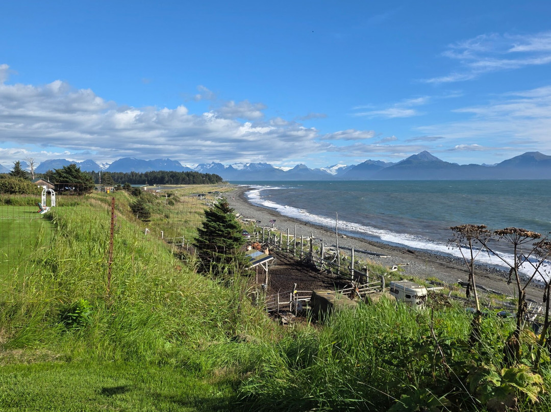 漂流木旅馆及海滨小屋主图