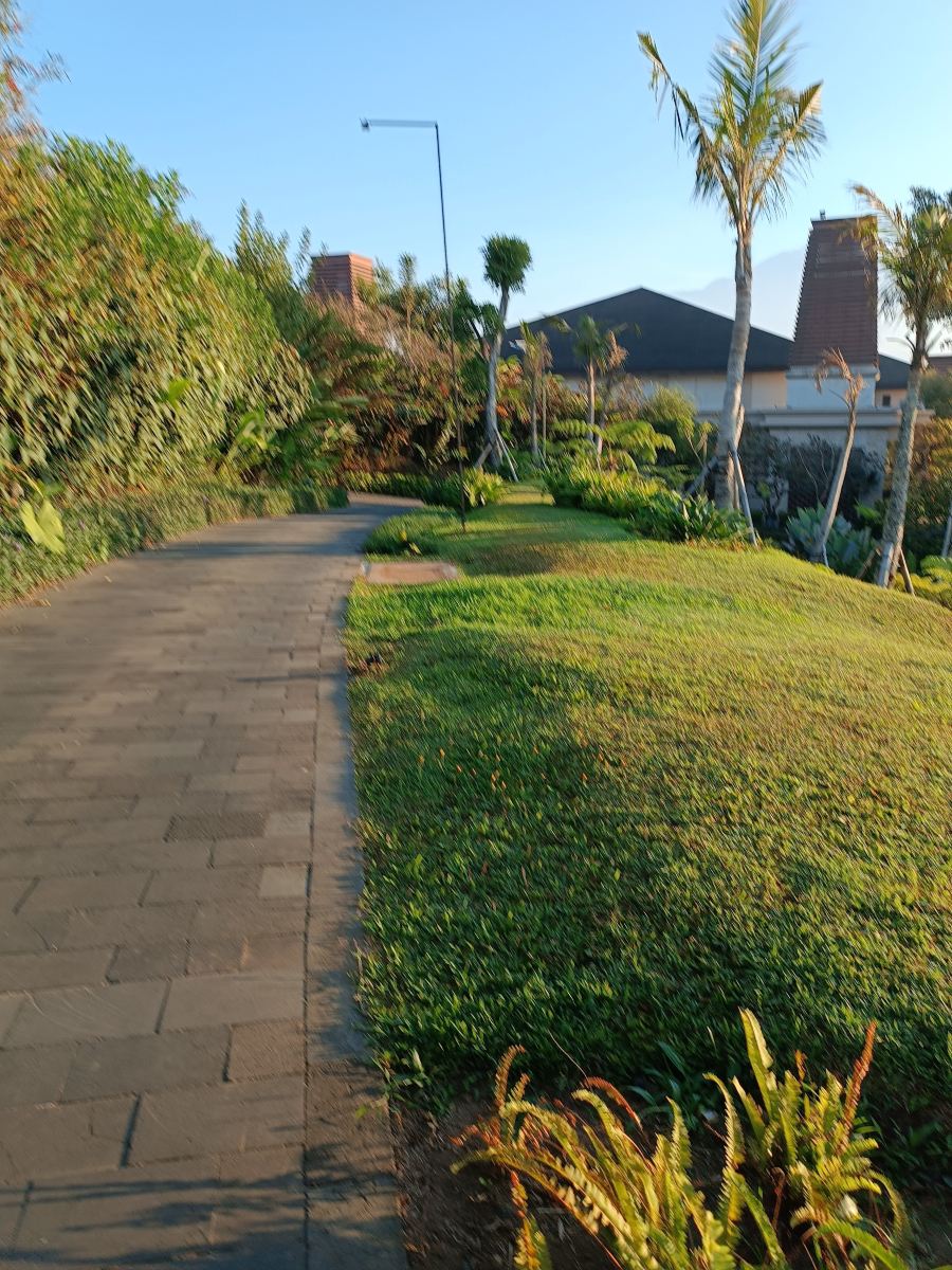 信诃沙里度假村-旅行者