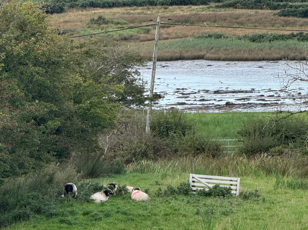 Atlantic Sheepdogs-Grange必去景点
